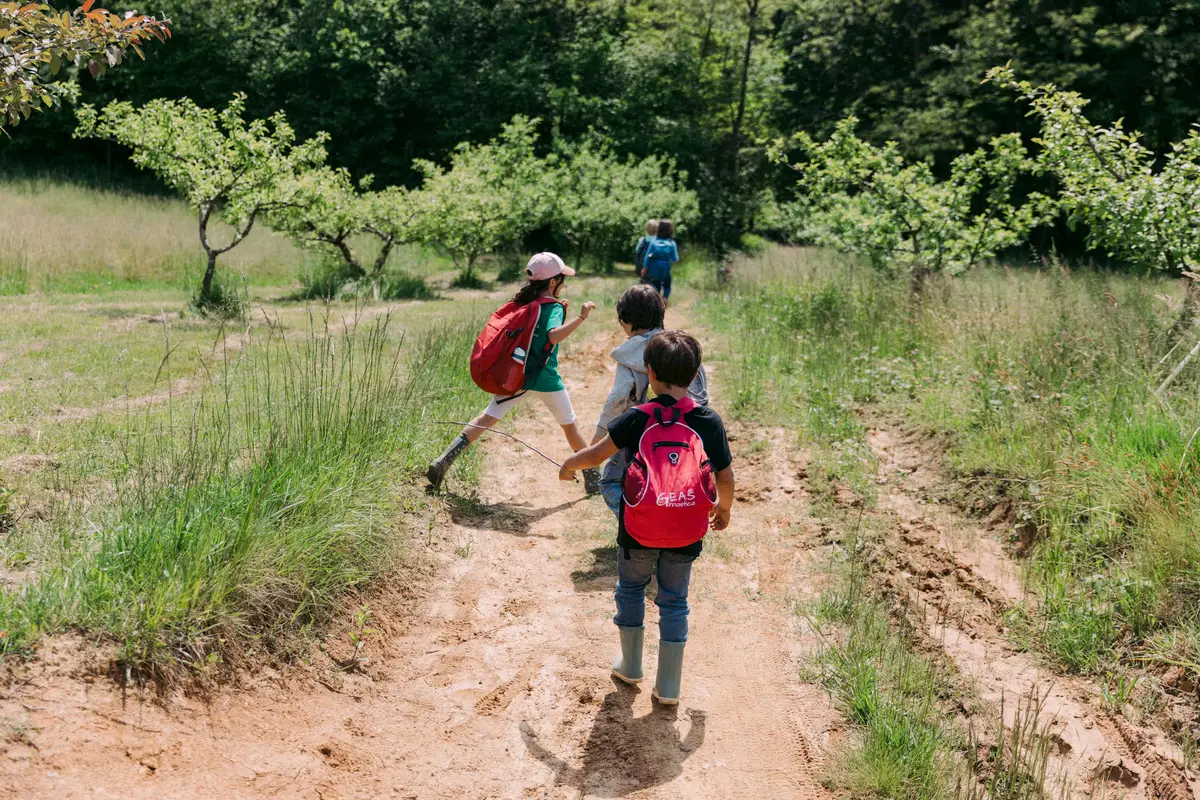 Bambini con zaini camminano su un sentiero tra prati e alberi