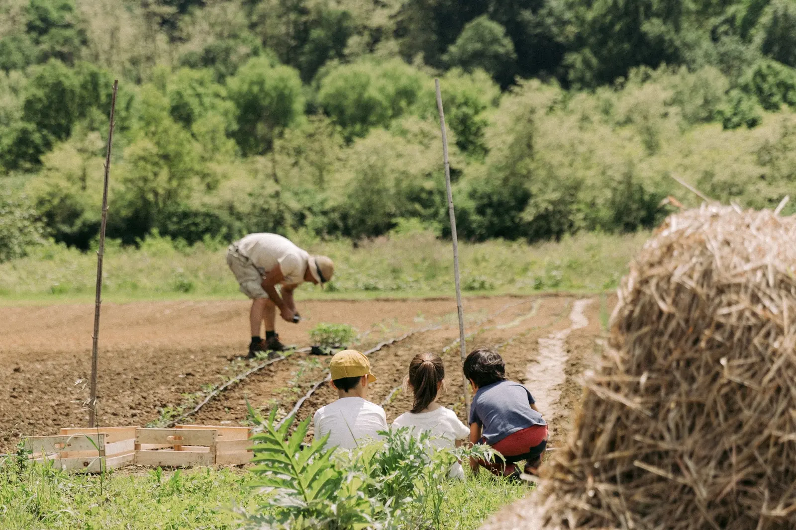 Bambini osservano il lavoro della terra in un orto